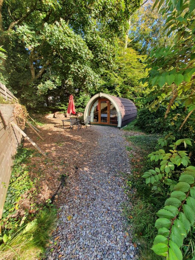 Priory Glamping Pods And Guest Accommodation Κιλάρνεϊ Εξωτερικό φωτογραφία