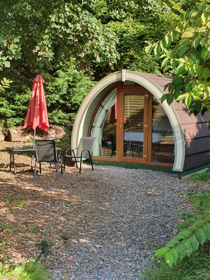 Priory Glamping Pods And Guest Accommodation Κιλάρνεϊ Εξωτερικό φωτογραφία