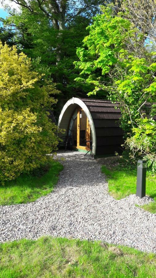 Priory Glamping Pods And Guest Accommodation Κιλάρνεϊ Εξωτερικό φωτογραφία