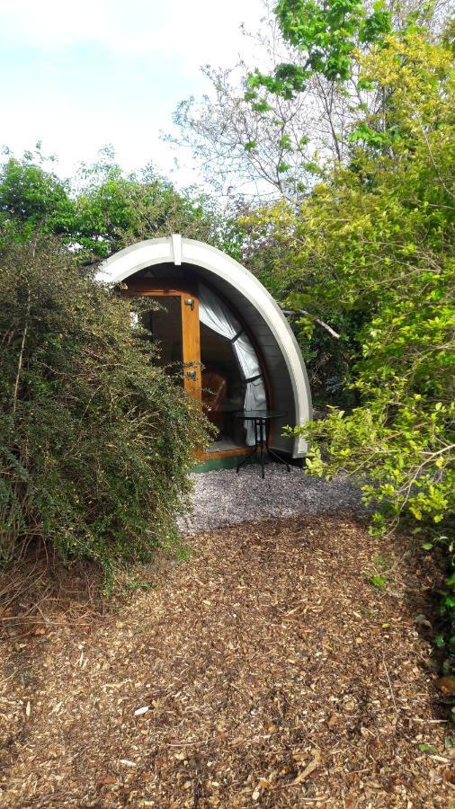 Priory Glamping Pods And Guest Accommodation Κιλάρνεϊ Εξωτερικό φωτογραφία